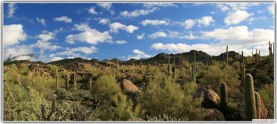 Sonoran